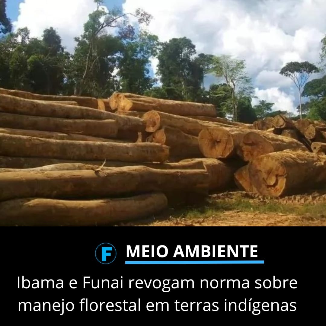 Ibama e Funai revogam norma sobre manejo florestal em terras indígenas