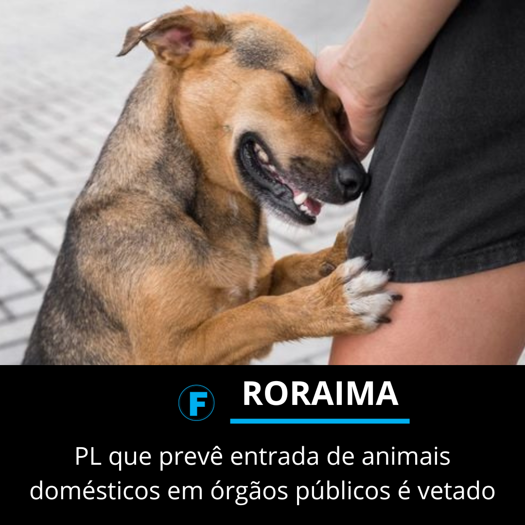 PL que prevê entrada de animais domésticos em órgãos públicos é vetado