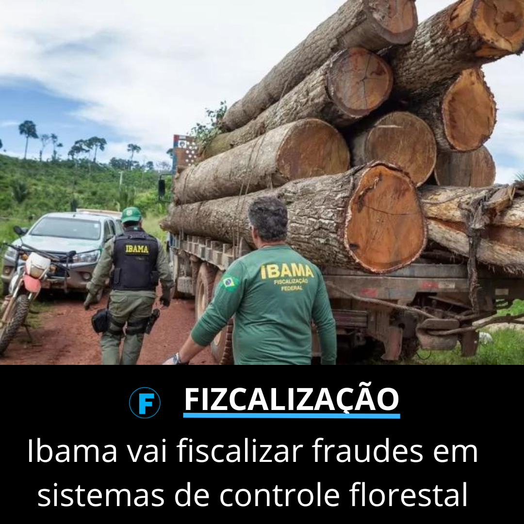 Ibama vai fiscalizar fraudes em sistemas de controle florestal