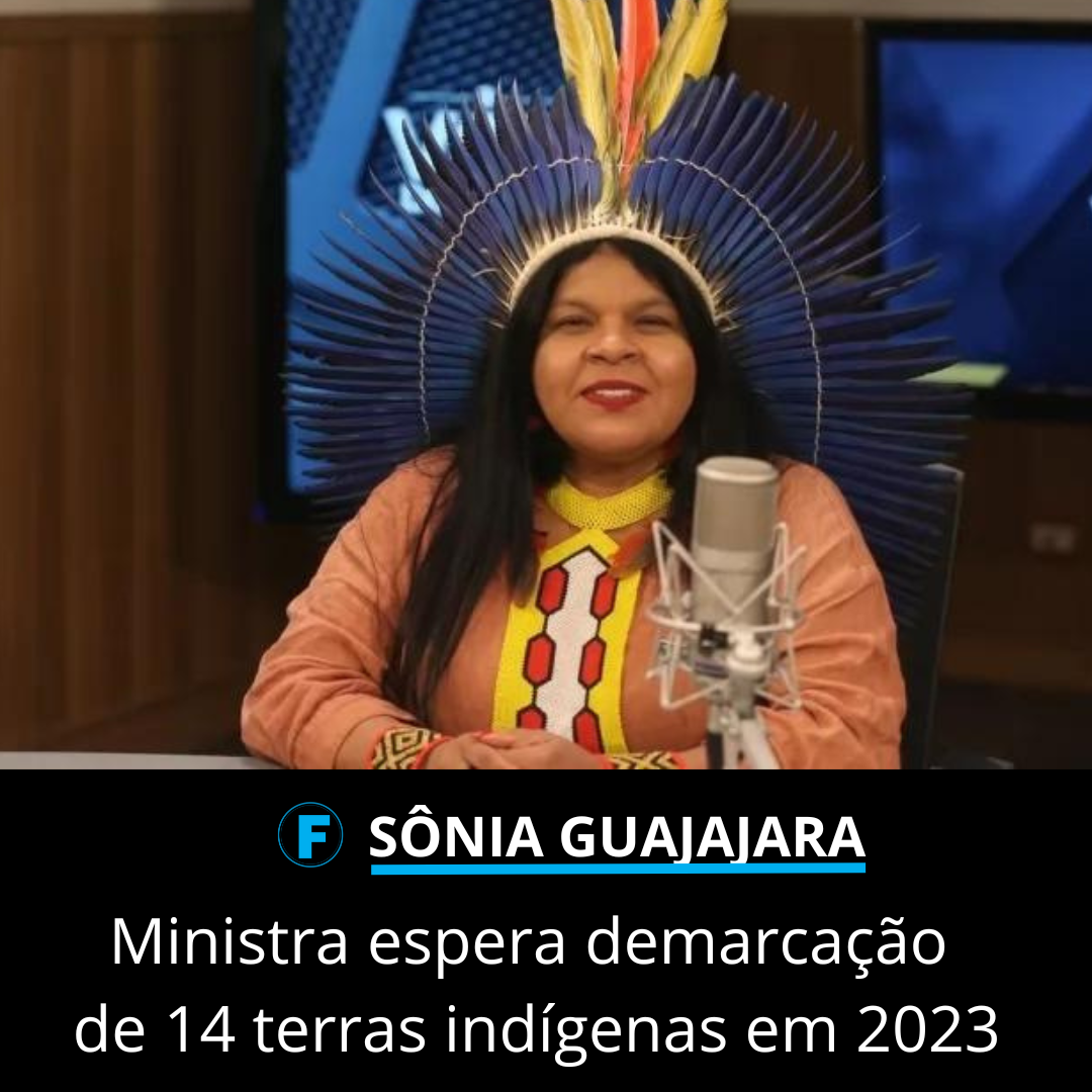 Ministra espera demarcação de 14 terras indígenas em 2023