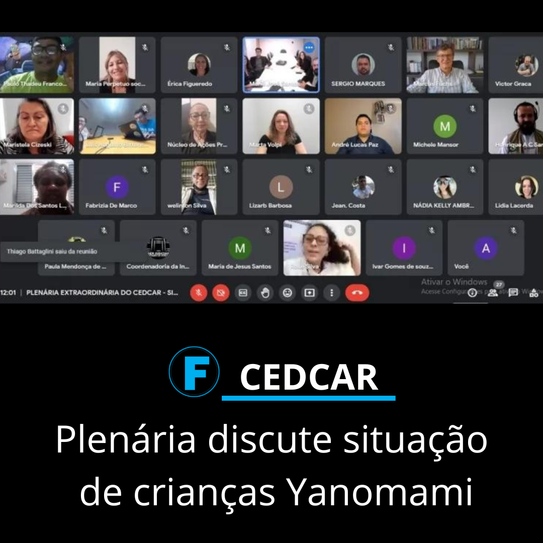Plenária discute situação de crianças Yanomami
