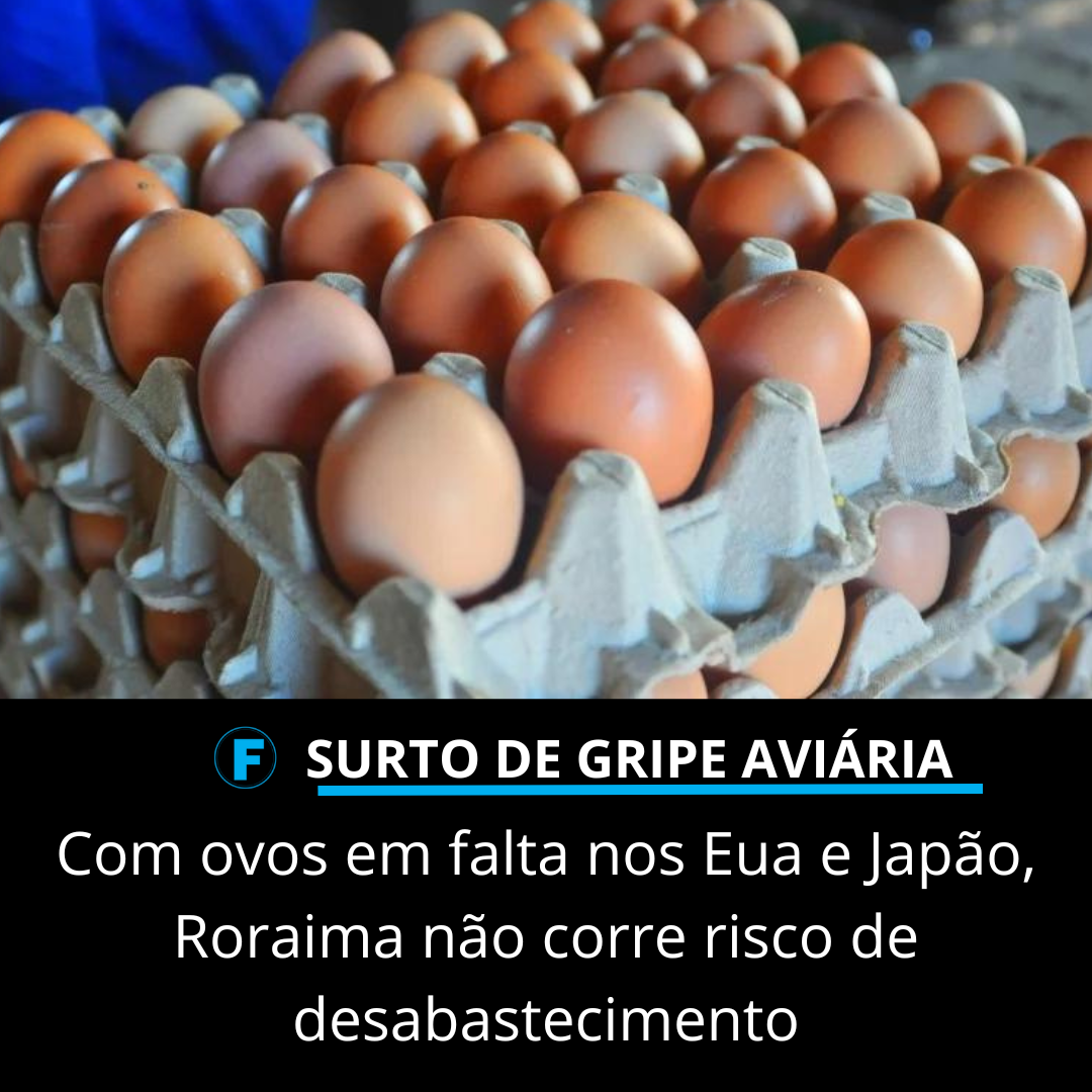 Com ovos em falta nos Eua e Japão, RR não corre risco de desabastecimento