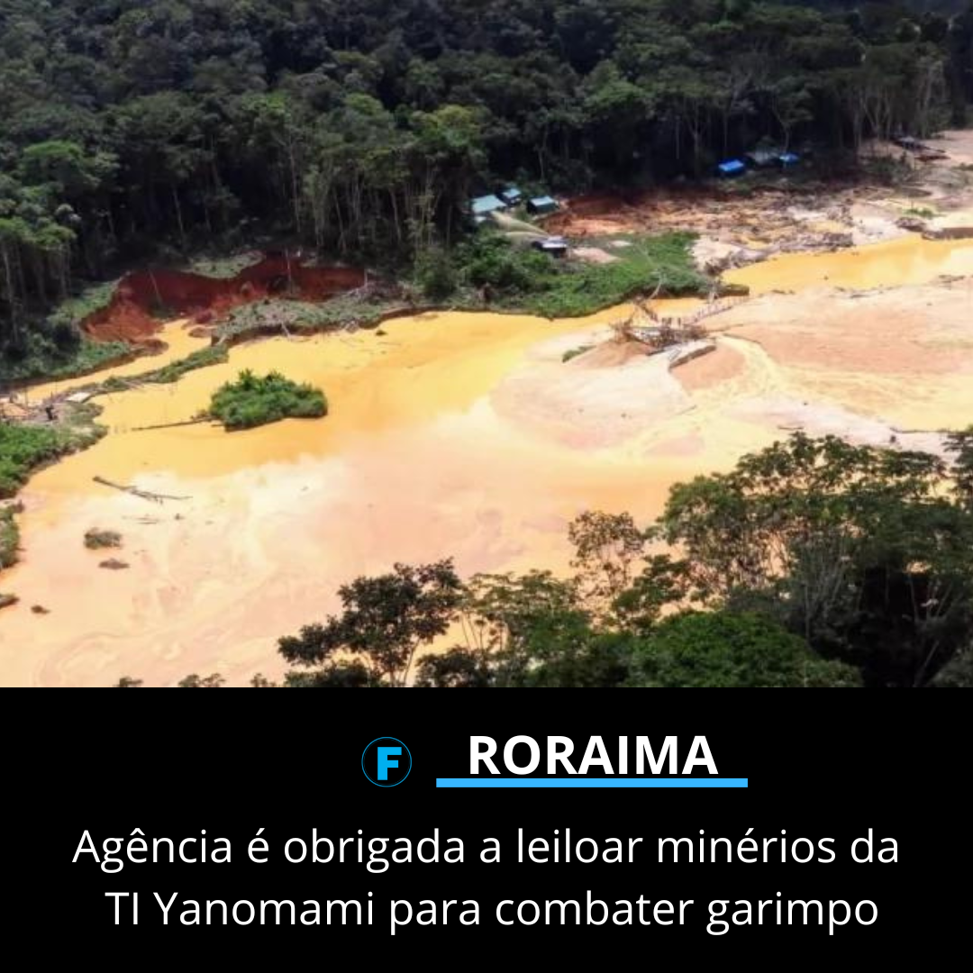 Agência é obrigada a leiloar minérios da TI Yanomami para combater garimpo