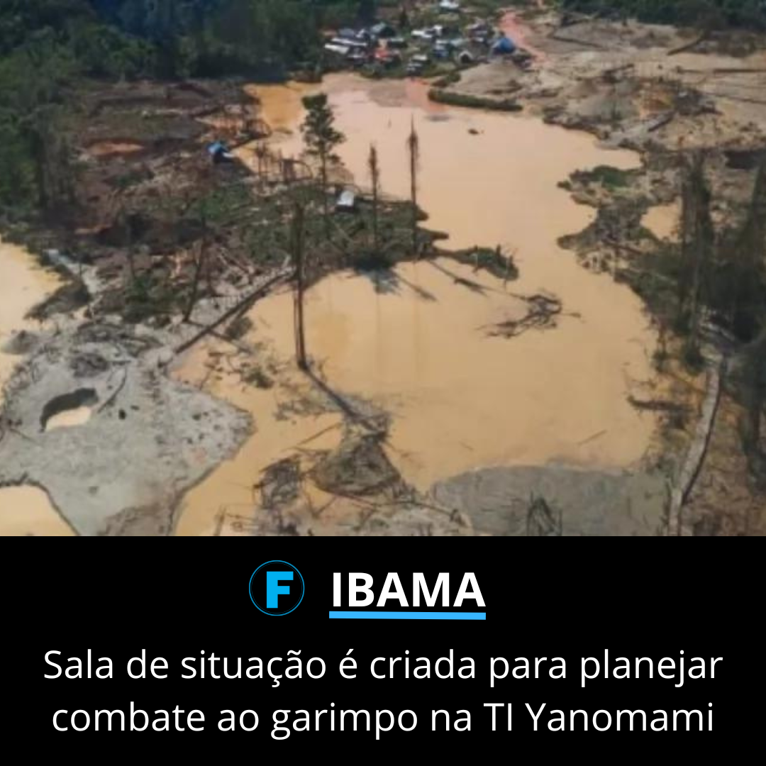 Sala de situação é criada para planejar combate ao garimpo na TI Yanomami