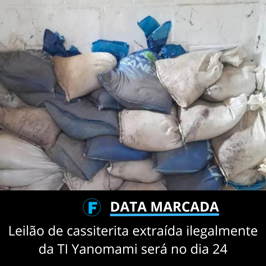Leilão de cassiterita extraída ilegalmente da TI Yanomami será no dia 24