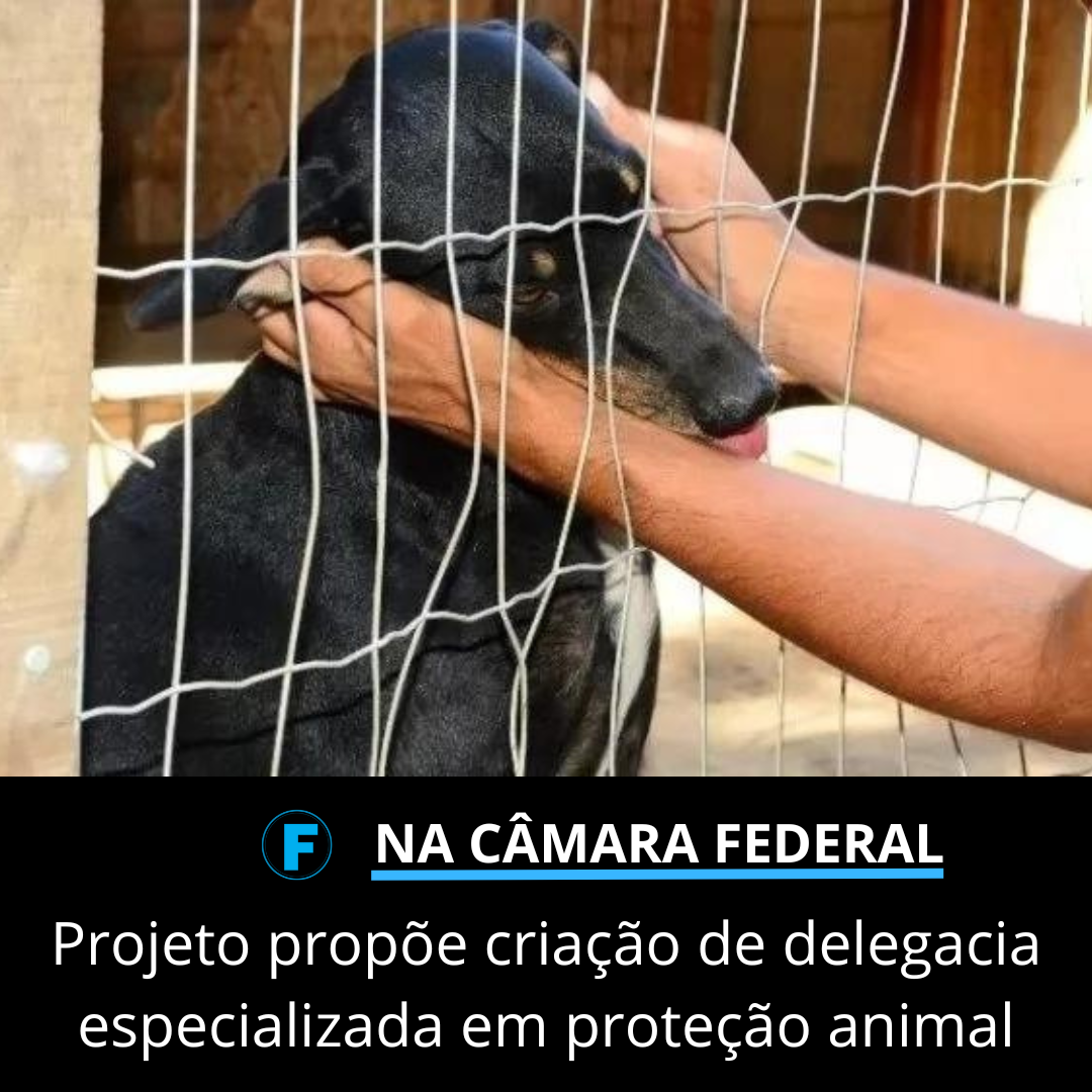 Projeto propõe criação de delegacia especializada em proteção animal