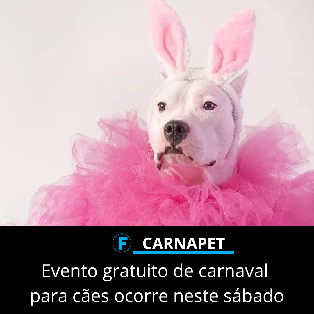 Evento gratuito de carnaval para cães ocorre neste sábado