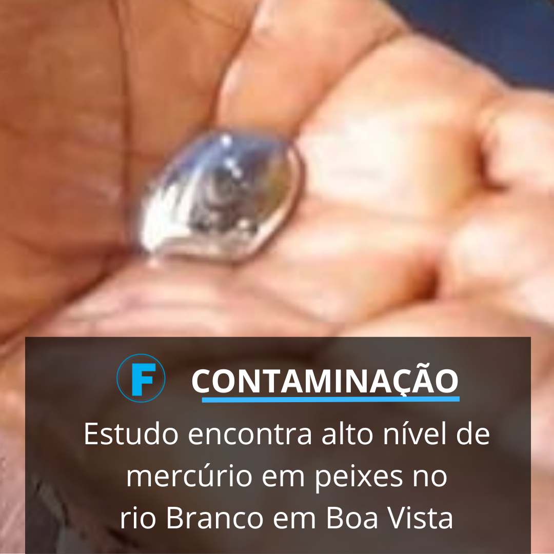 Estudo encontra alto nível de mercúrio em peixes no rio Branco em BV