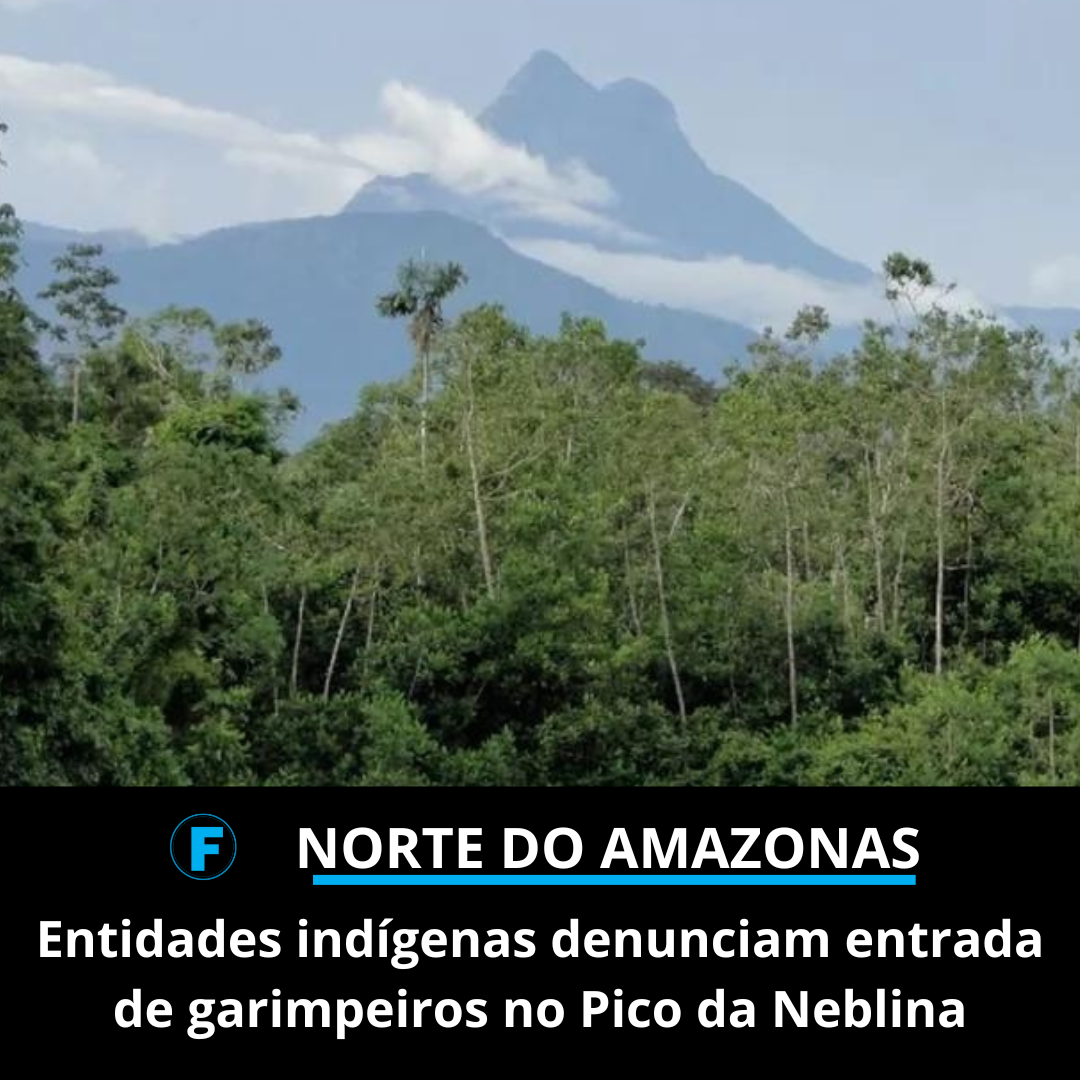 Entidades indígenas denunciam entrada de garimpeiros no Pico da Neblina