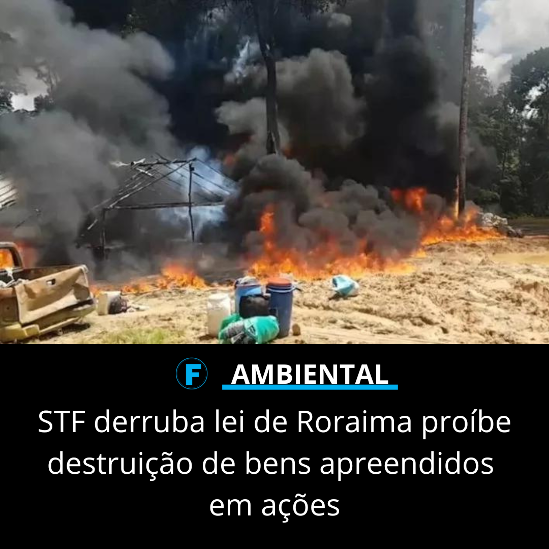STF derruba lei de RR que proíbe destruição de bens apreendidos em ações