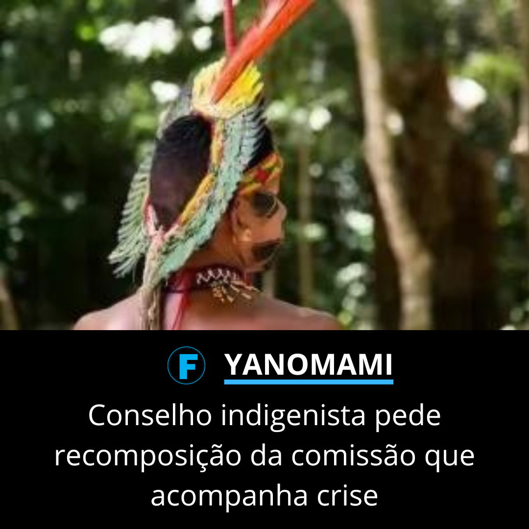 Conselho indigenista pede recomposição da comissão que acompanha crise