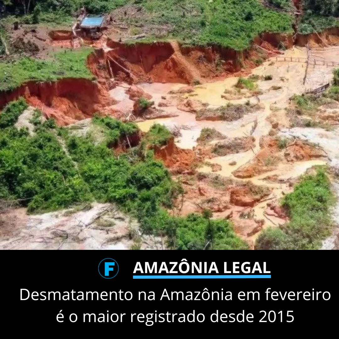 Desmatamento na Amazônia em fevereiro é o maior registrado desde 2015