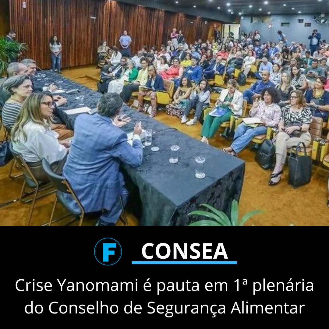 Crise Yanomami é pauta em 1ª plenária do Conselho de Segurança Alimentar