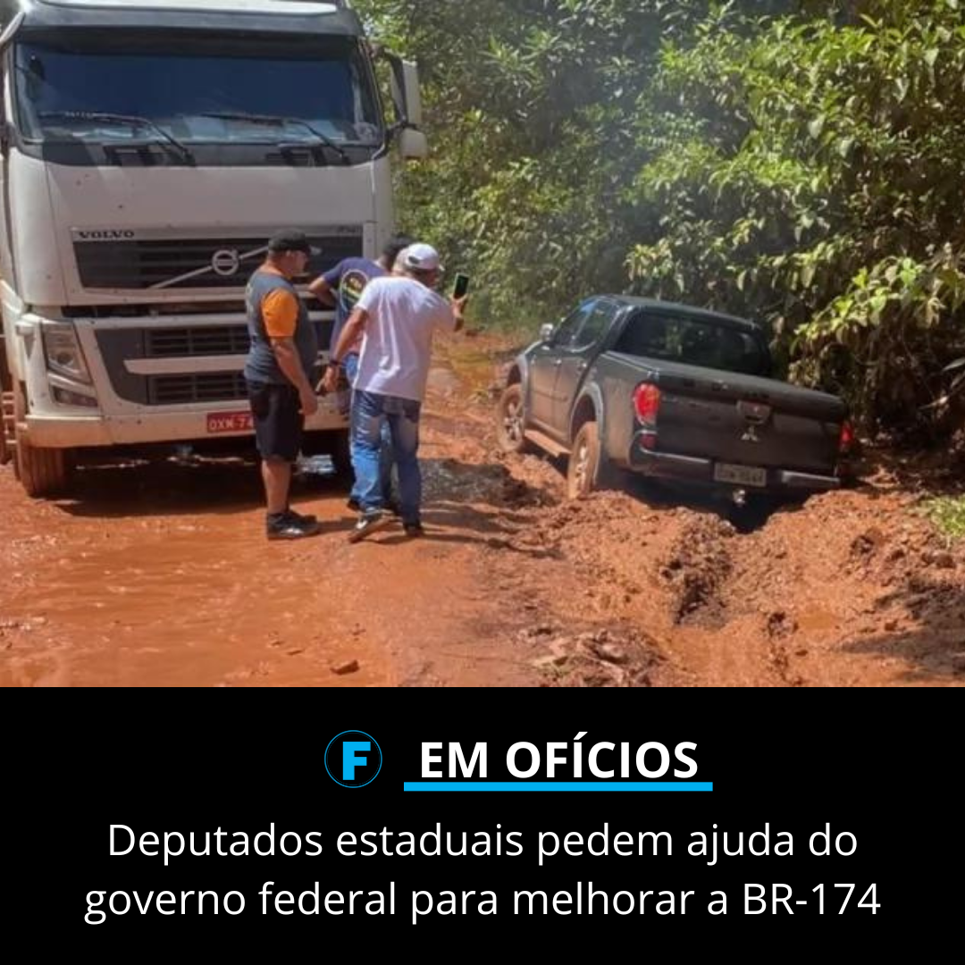 Deputados estaduais pedem ajuda do governo federal para melhorar a BR-174
