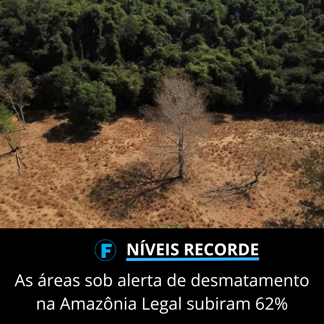 As áreas sob alerta de desmatamento na Amazônia Legal subiram 62%