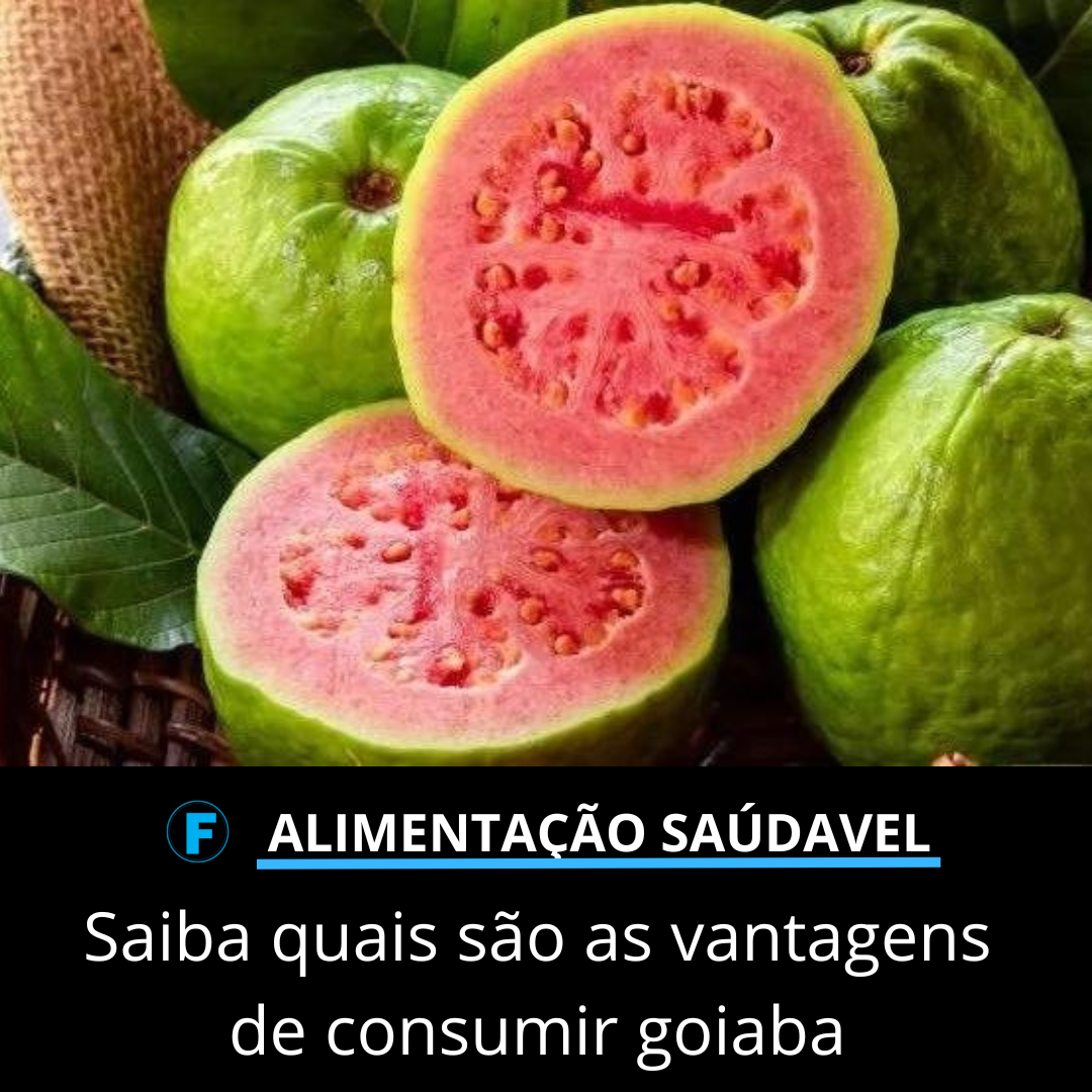 Saiba quais são as vantagens de consumir goiaba 