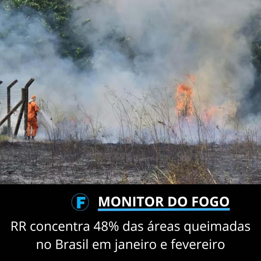 RR concentra 48% das áreas queimadas no Brasil em janeiro e fevereiro