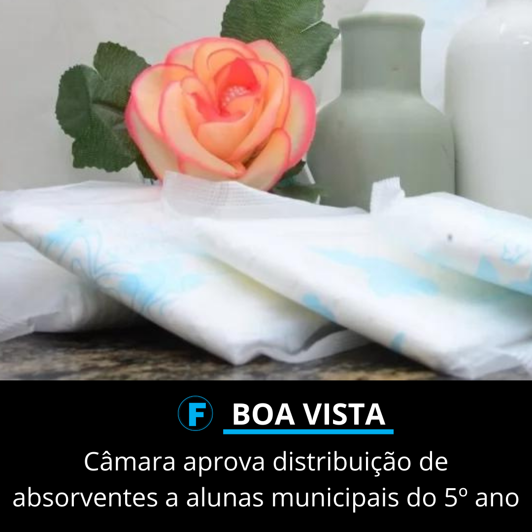 Câmara aprova distribuição de absorventes a alunas municipais do 5º ano