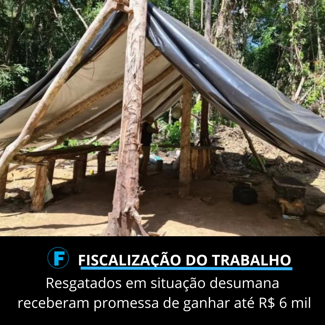 Resgatados em situação desumana receberam promessa de ganhar até R$ 6 mil