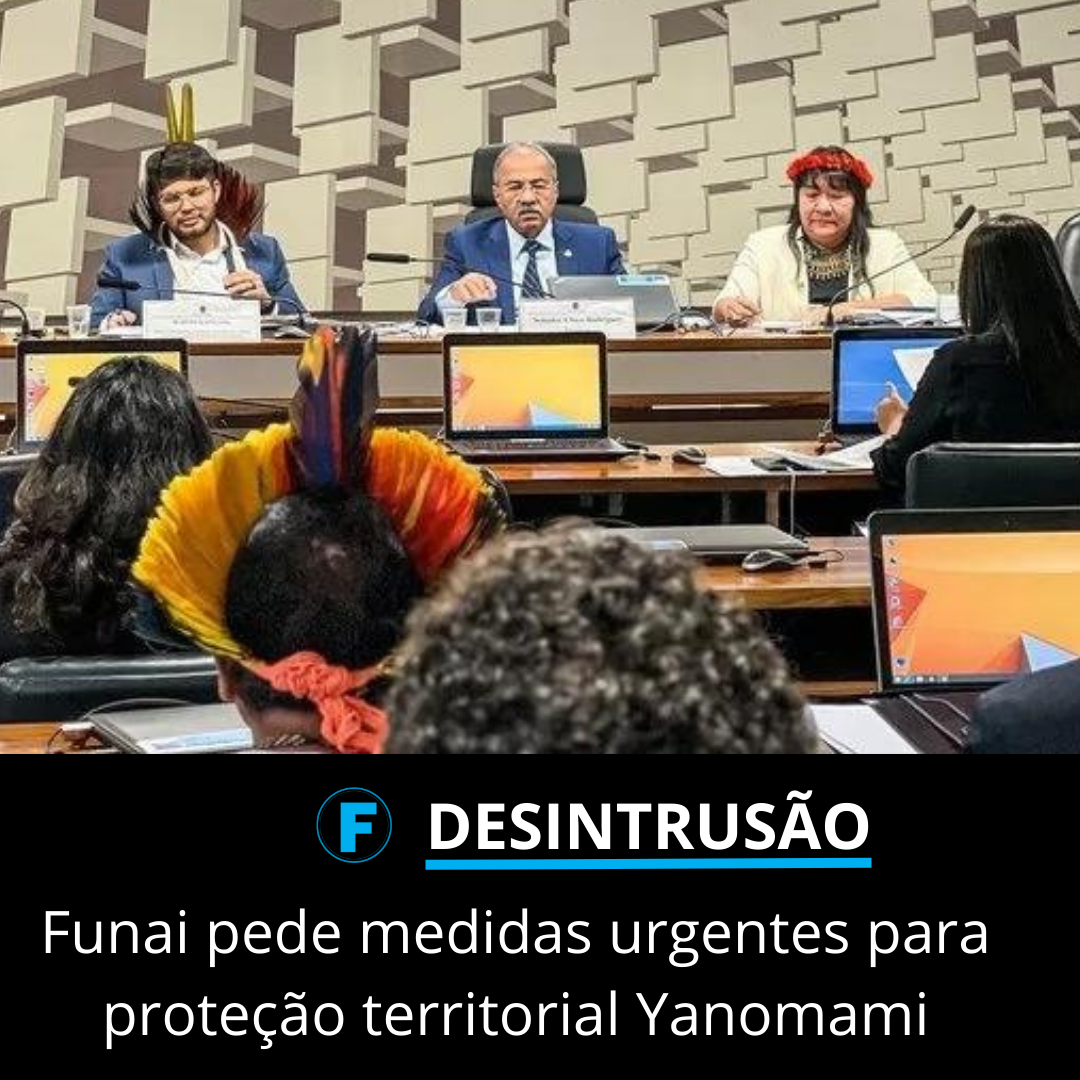 Funai pede medidas urgentes para proteção territorial Yanomami