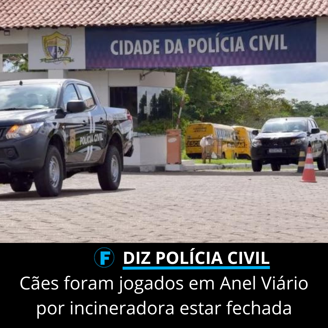 Cães foram jogados em Anel Viário por incineradora estar fechada