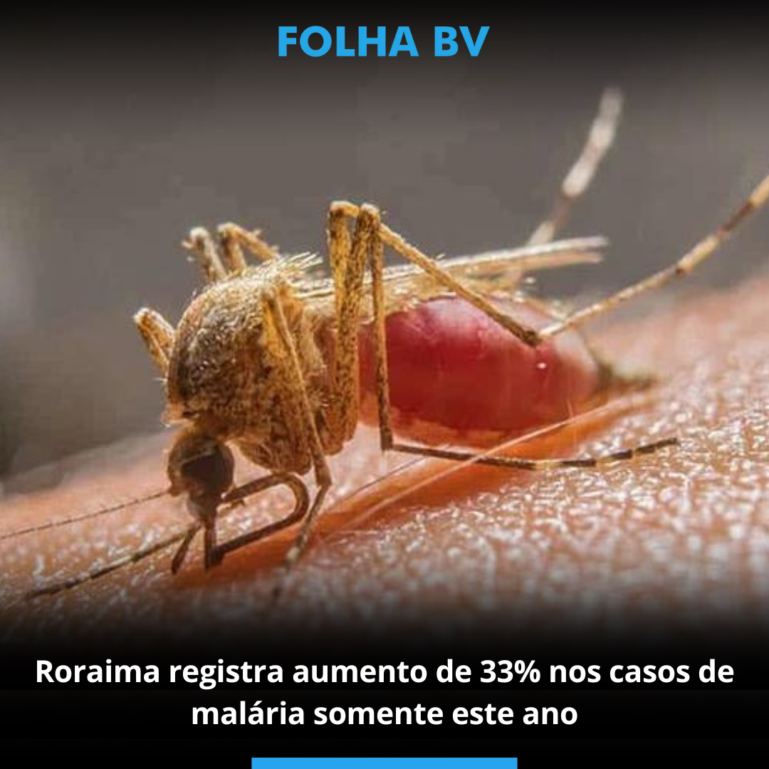Roraima registra aumento de 33% nos casos de malária somente este ano