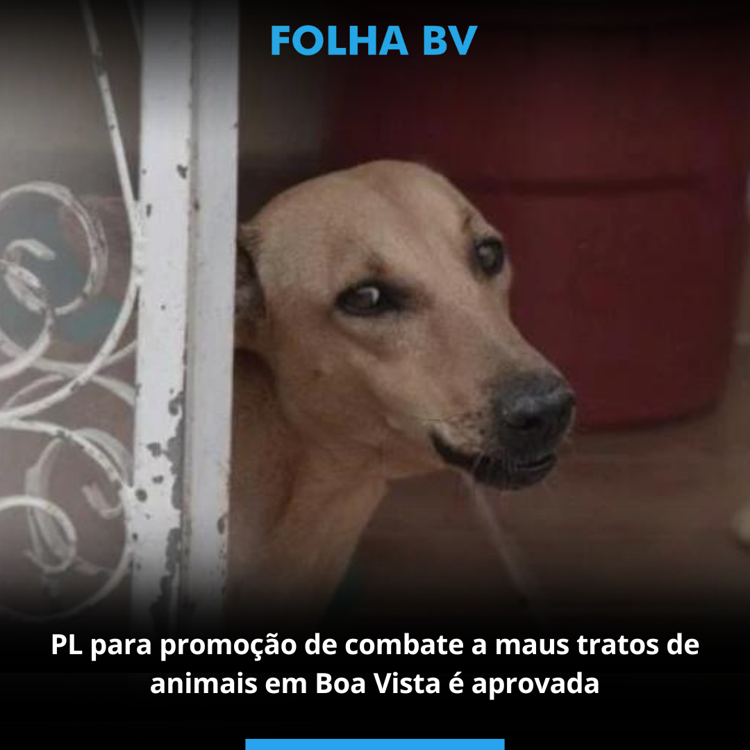 PL para promoção de combate a maus tratos de animais em Boa Vista é aprovada