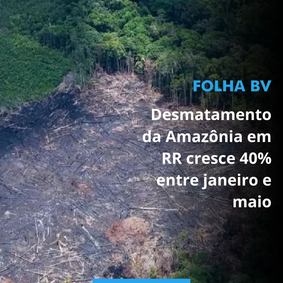 Desmatamento da Amazônia em RR cresce 40% entre janeiro e maio