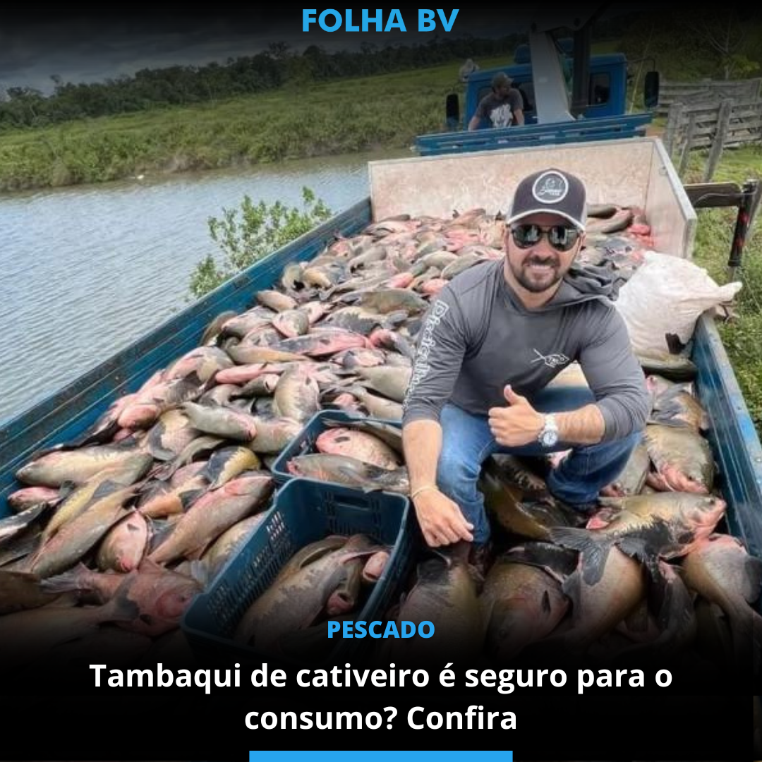 Tambaqui de cativeiro é seguro para o consumo? Confira