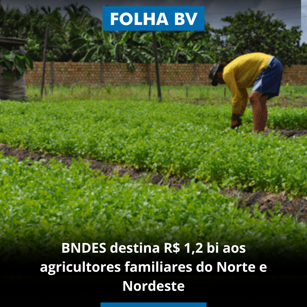 BNDES destina R$ 1,2 bi aos agricultores familiares do Norte e Nordeste