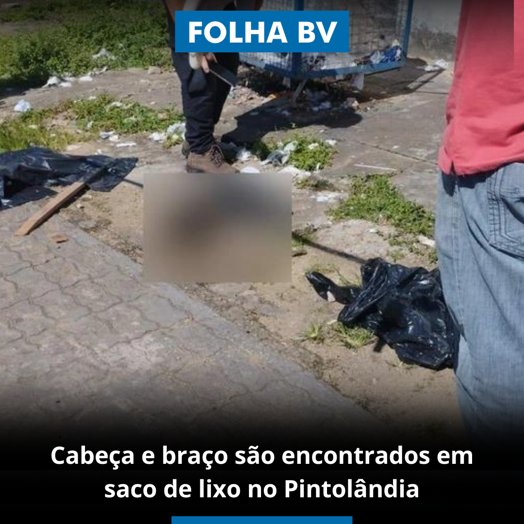 Cabeça e braço são encontrados em saco de lixo no Pintolândia