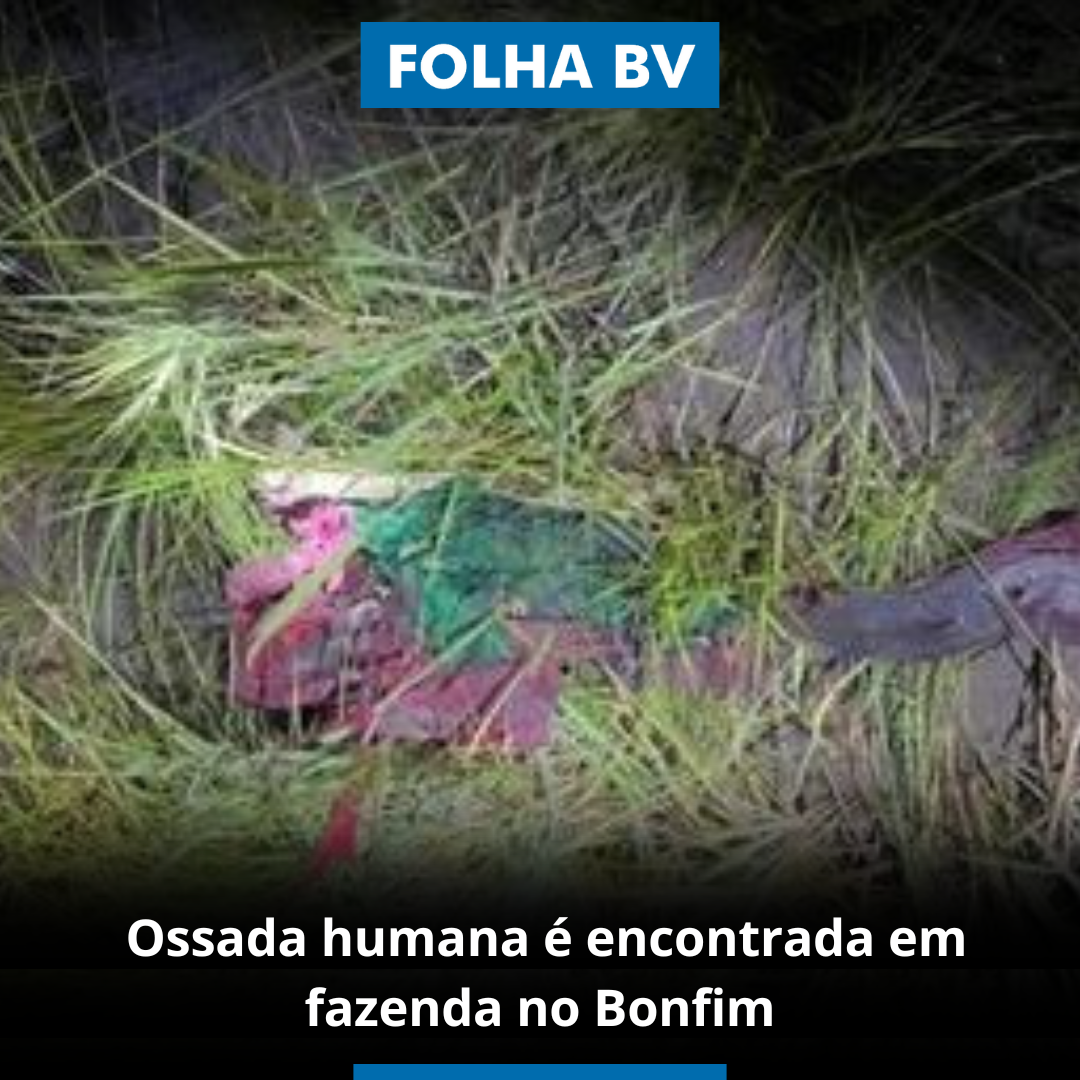 https://www.folhabv.com.br/policia/ossada-humana-e-encontrada-em-fazenda-no-bonfim/