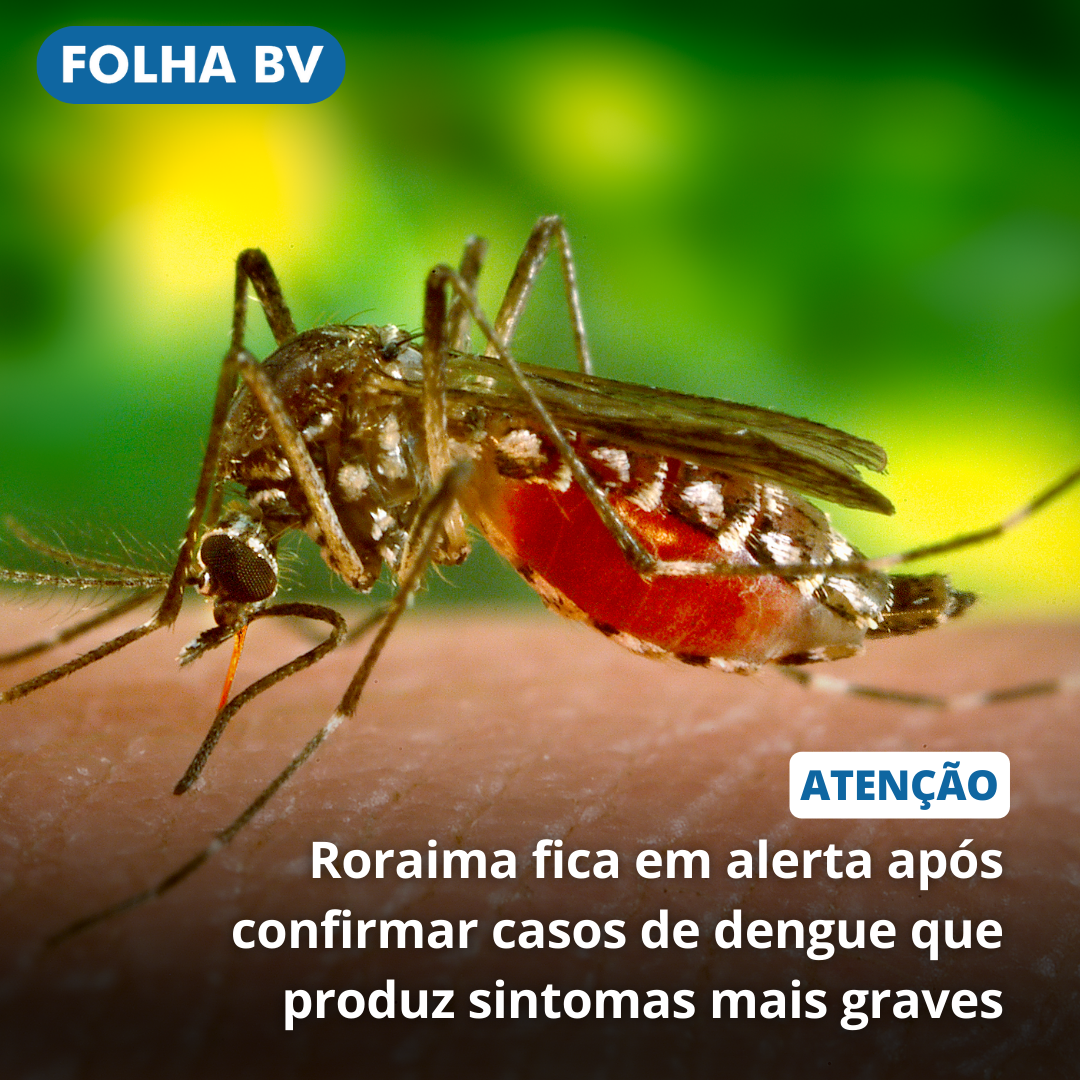 https://www.folhabv.com.br/saude-e-bem-estar/roraima-fica-em-alerta-apos-confirmar-casos-de-dengue-que-produz-sintomas-mais-graves/