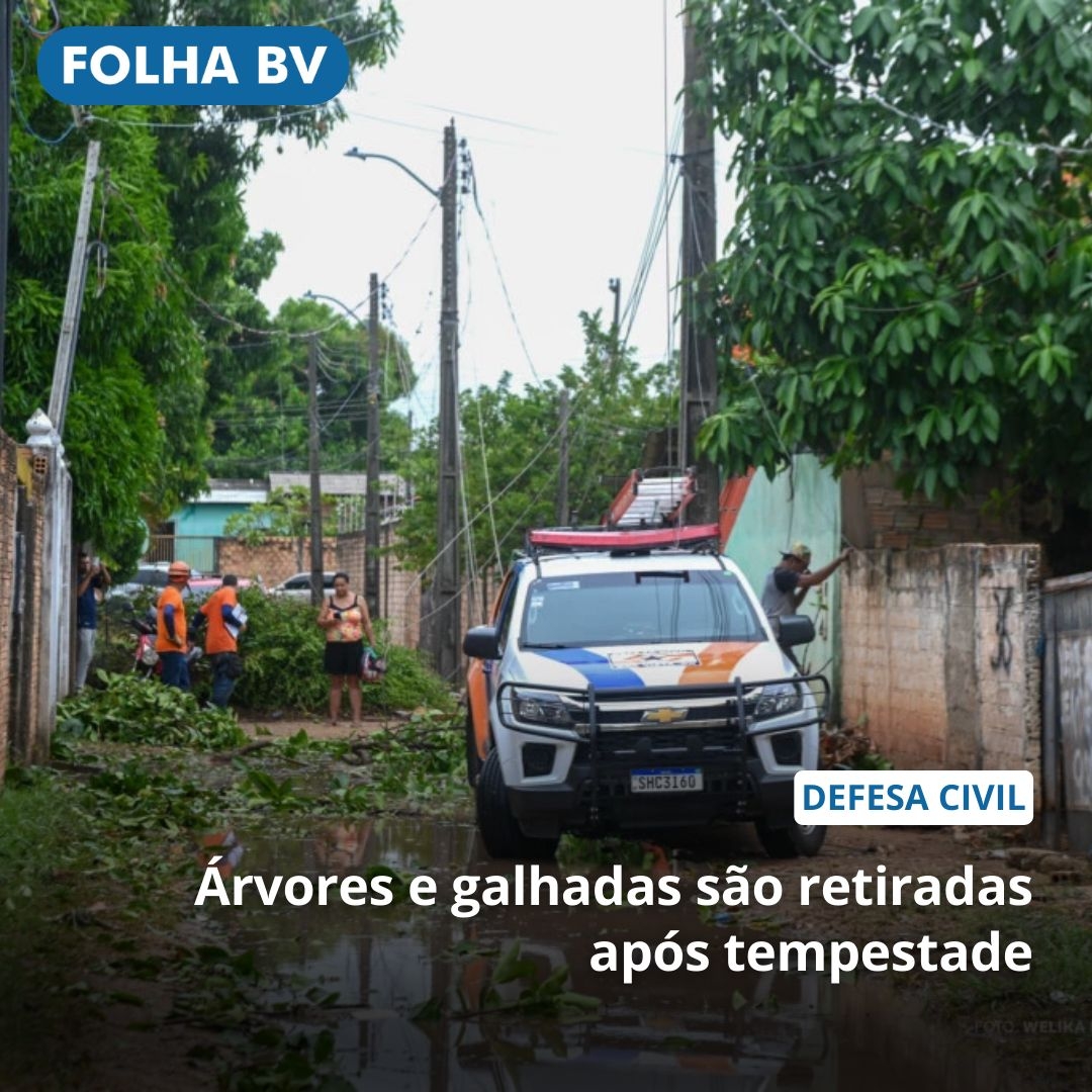 https://www.folhabv.com.br/cotidiano/arvores-e-galhadas-sao-retiradas-apos-tempestade/