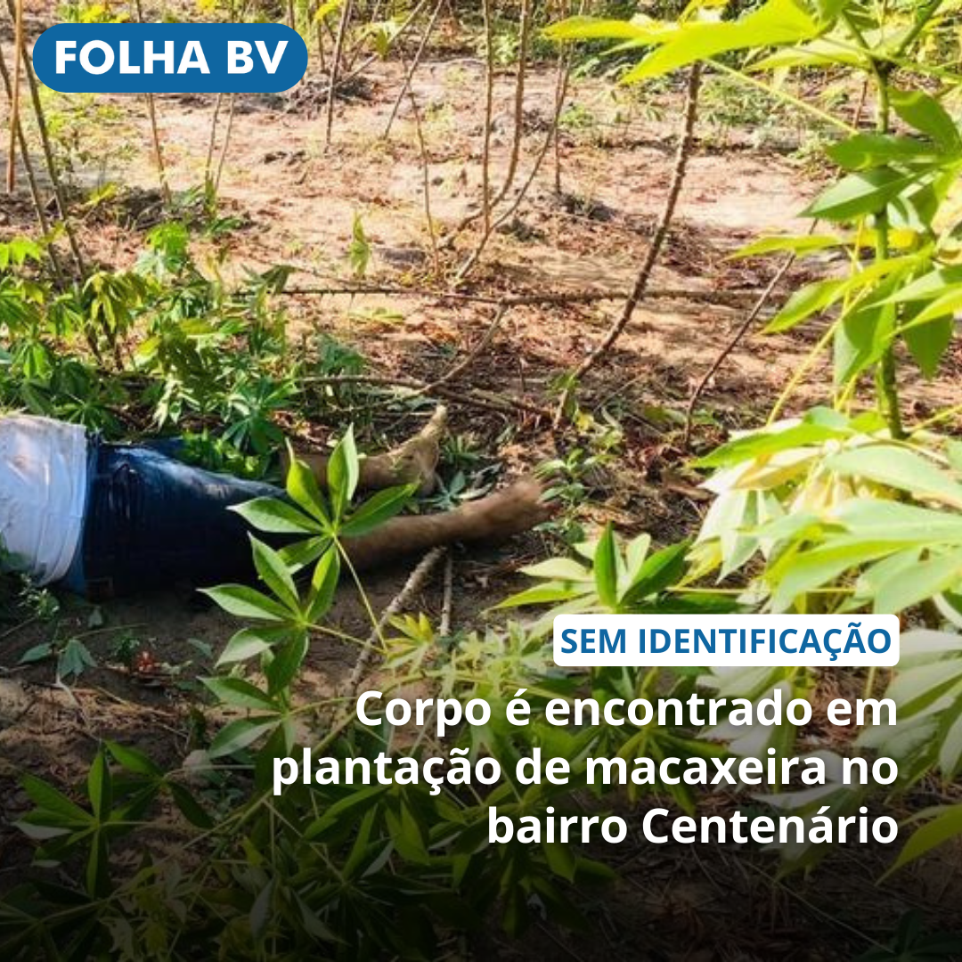 https://www.folhabv.com.br/policia/corpo-e-encontrado-em-plantacao-de-macaxeira-no-bairro-centenario/
