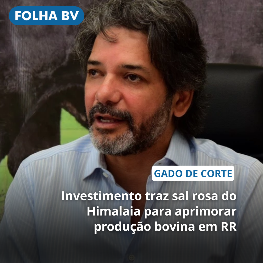 Investimento traz sal rosa do Himalaia para aprimorar produção bovina em RR