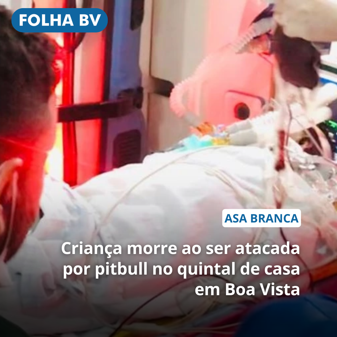 Criança morre ao ser atacada por pitbull no quintal de casa em Boa Vista