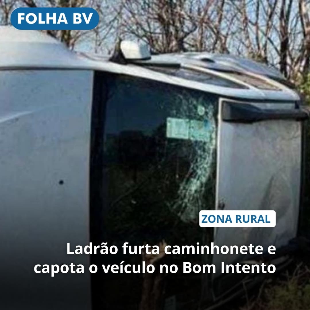 Ladrão furta caminhonete e capota o veículo no Bom Intento