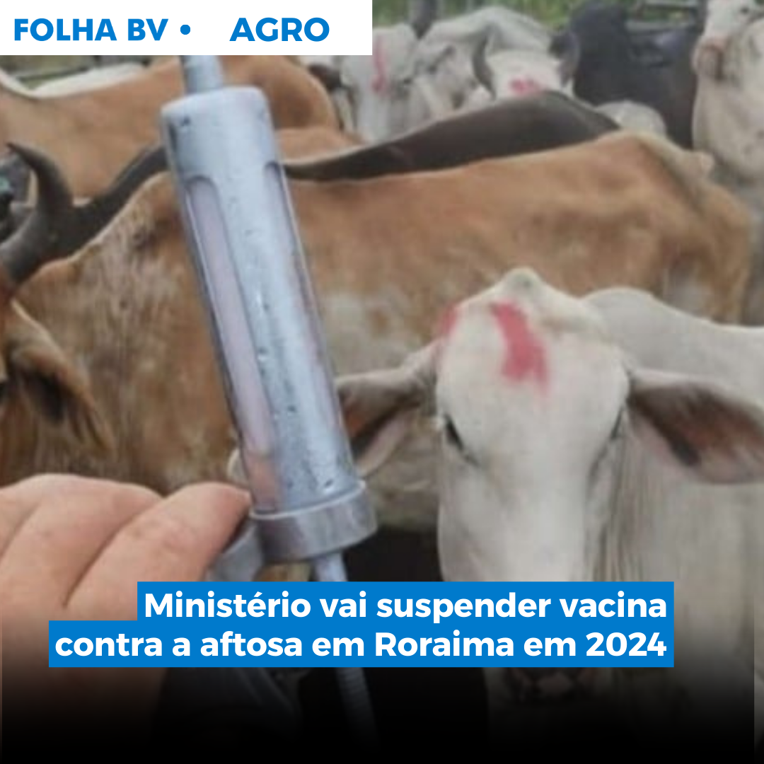 Ministério vai suspender vacina contra a aftosa em Roraima em 2024