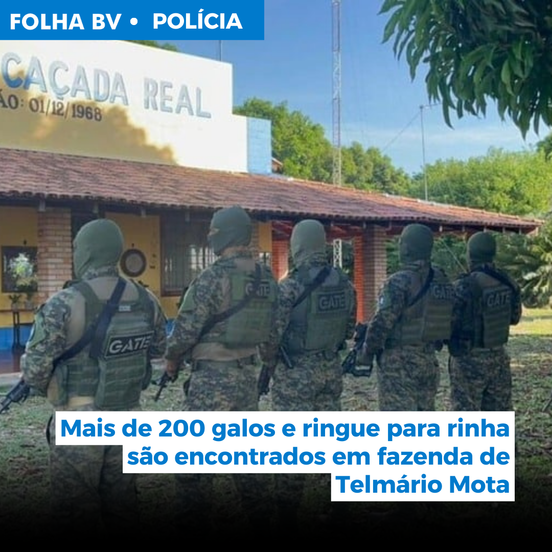 Mais de 200 galos e ringue para rinha são encontrados em fazenda de Telmário Mota