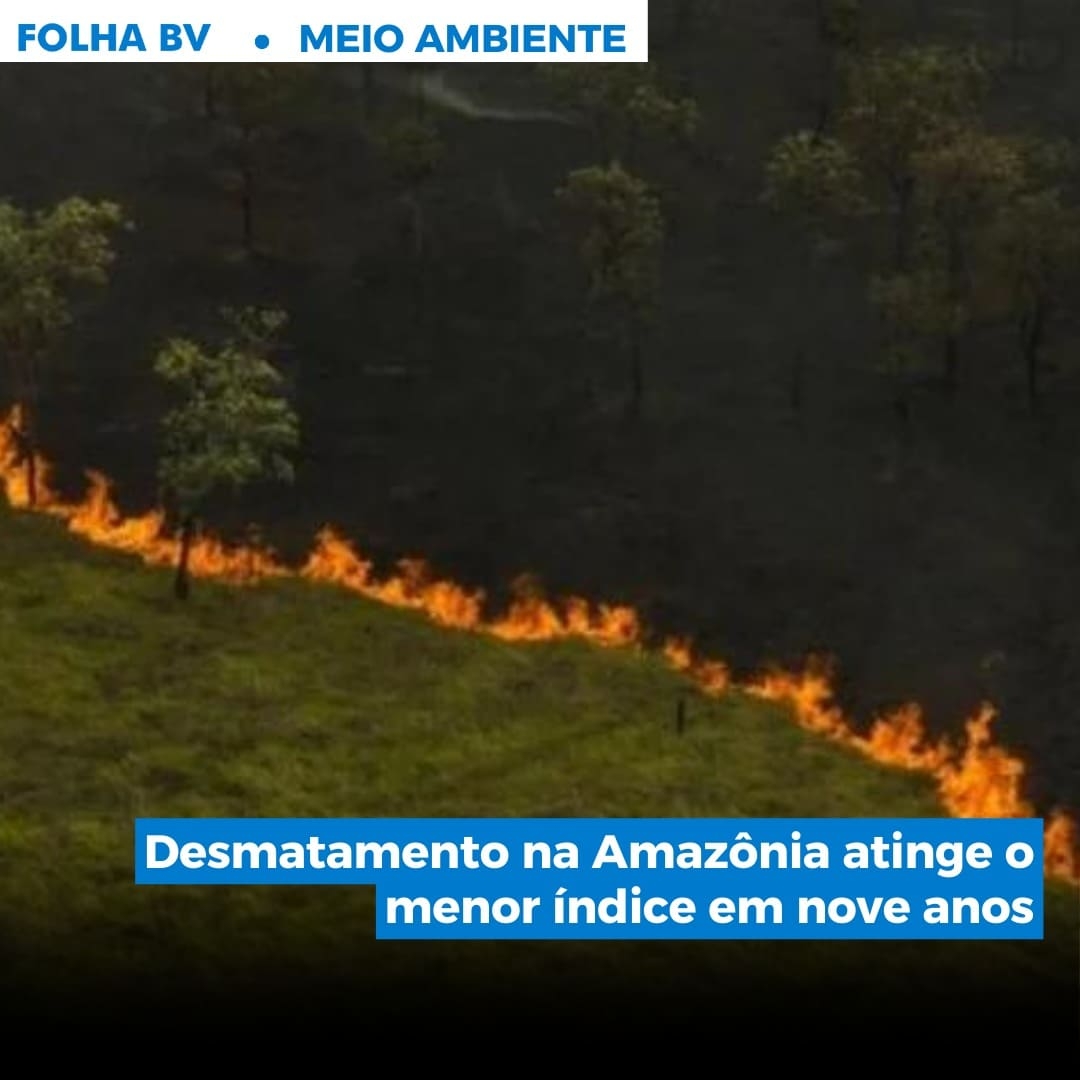 https://www.folhabv.com.br/cotidiano/meio-ambiente/desmatamento-na-amazonia-atinge-o-menor-indice-em-nove-anos/