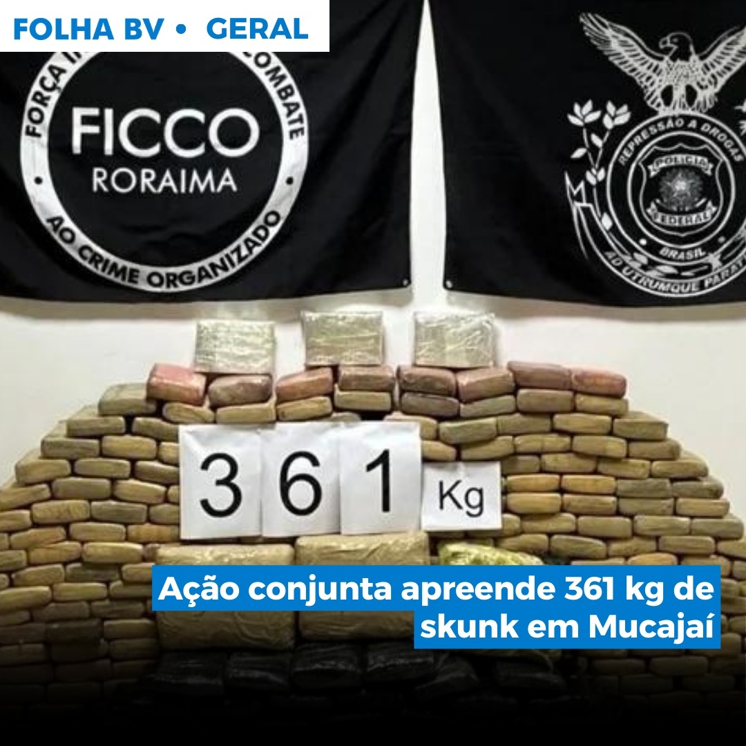 https://www.folhabv.com.br/geral/acao-conjunta-apreende-361-kg-de-skunk-em-mucajai/