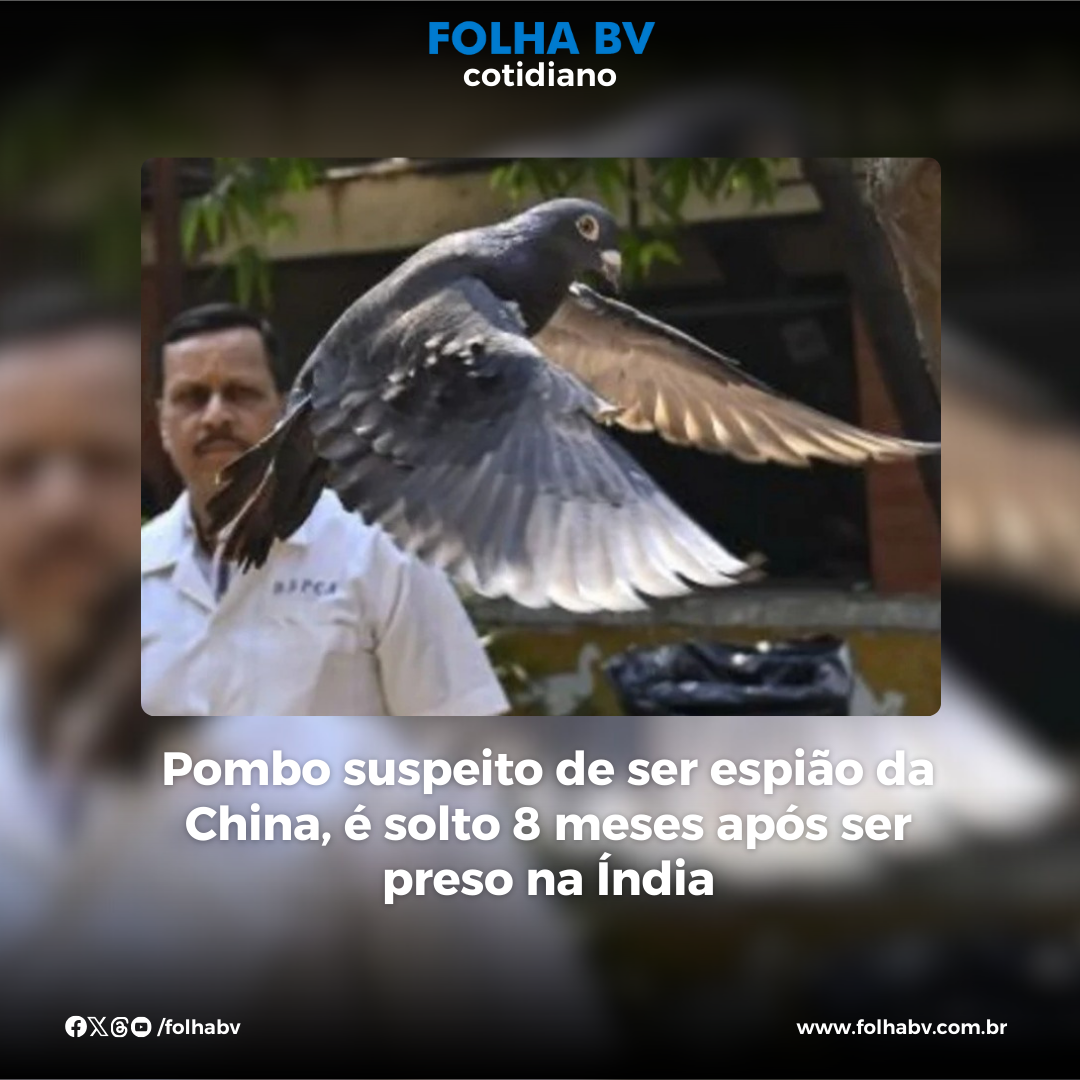 https://www.folhabv.com.br/cotidiano/pombo-suspeito-de-ser-espiao-da-china-e-solto-8-meses-apos-ser-preso-na-india/