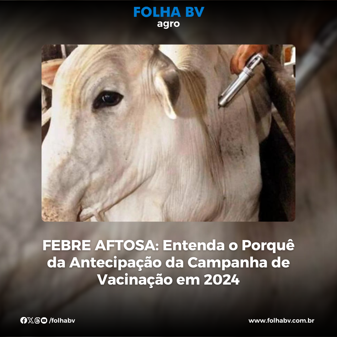 https://www.folhabv.com.br/colunas/febre-aftosa-entenda-o-porque-da-antecipacao-da-campanha-de-vacinacao-em-2024/