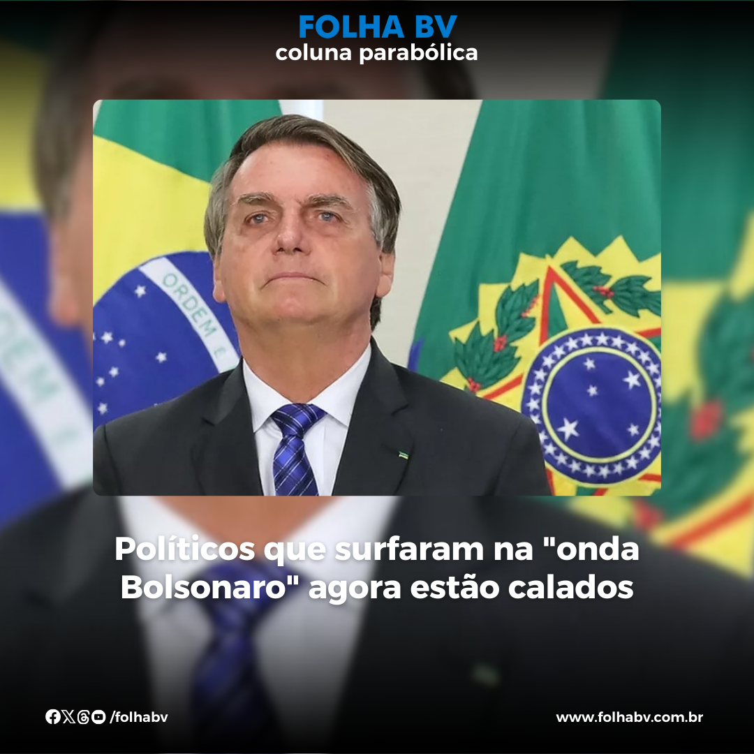 https://www.folhabv.com.br/colunas/politicos-que-surfaram-na-onda-bolsonaro-agora-estao-calados/