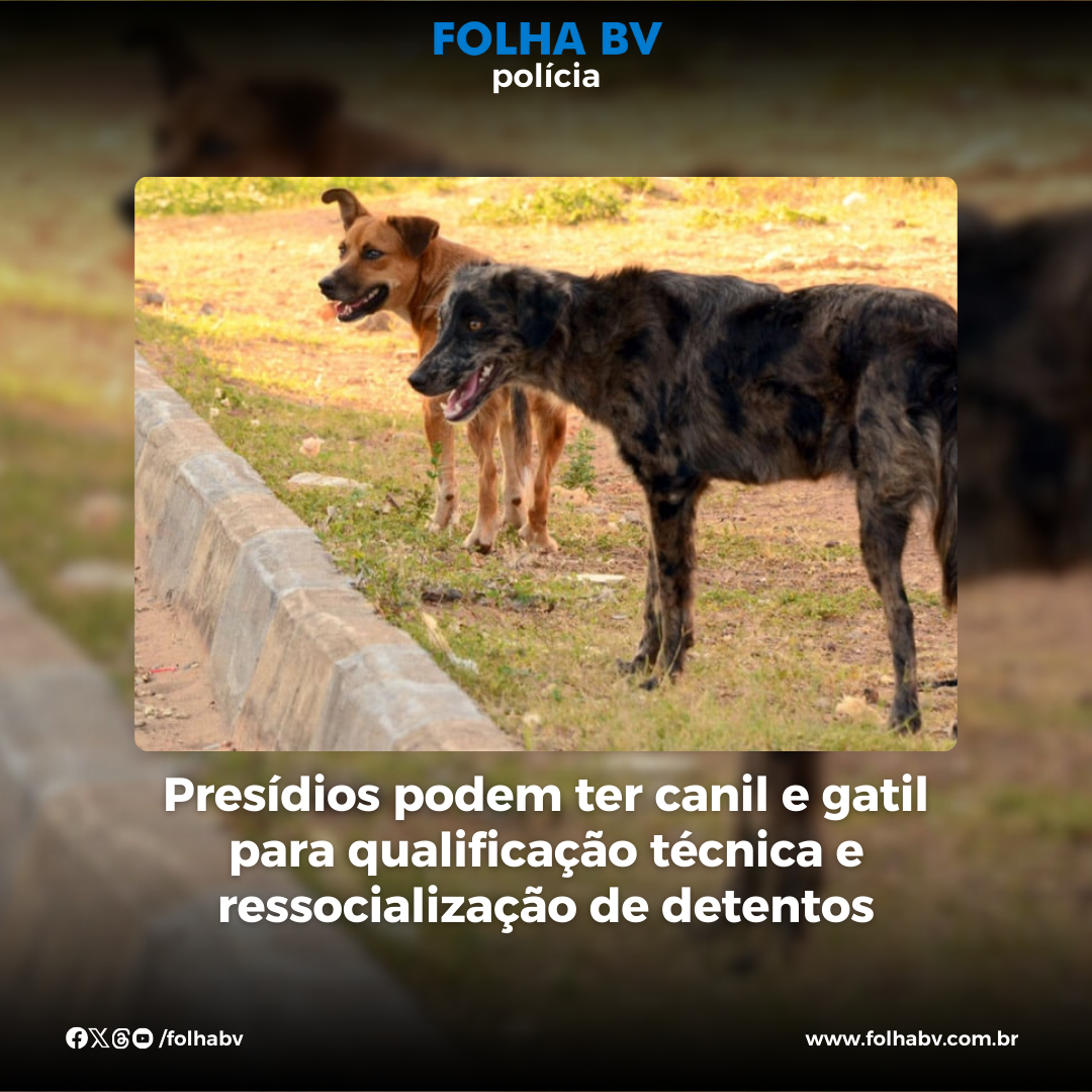 https://www.folhabv.com.br/policia/presidios-podem-ter-canil-e-gatil-para-qualificacao-tecnica-e-ressocializacao-de-detentos/