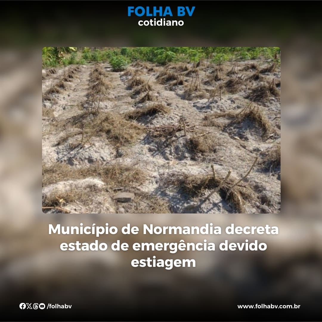 https://www.folhabv.com.br/cotidiano/municipio-de-normandia-decreta-estado-de-emergencia-devido-estiagem/