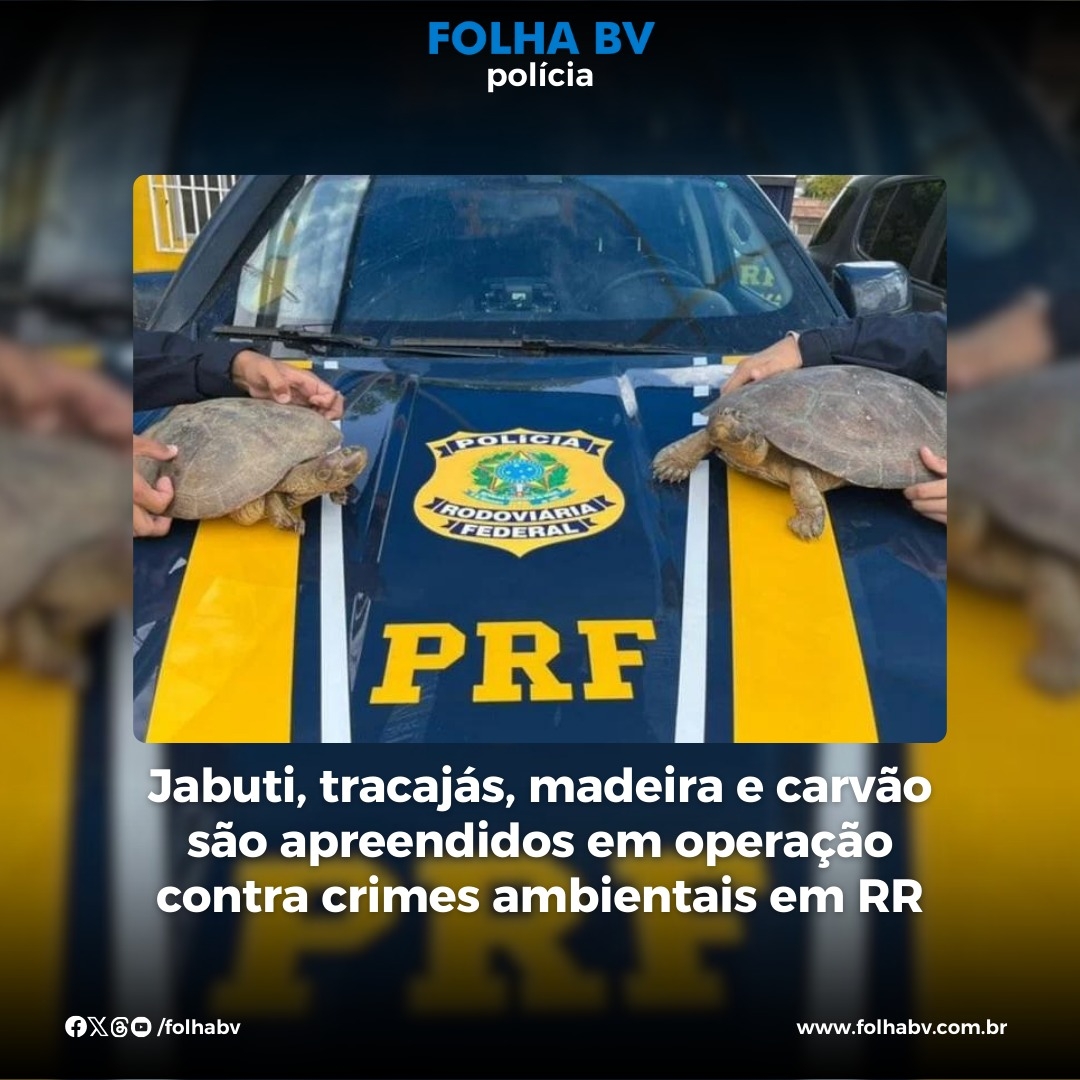 https://www.folhabv.com.br/geral/jabuti-tracajas-madeira-e-carvao-sao-apreendidos-em-operacao-contra-crimes-ambientais-em-rr/