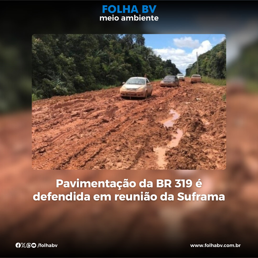 https://www.folhabv.com.br/cotidiano/meio-ambiente/pavimentacao-da-br-319-e-defendida-em-reuniao-da-suframa/