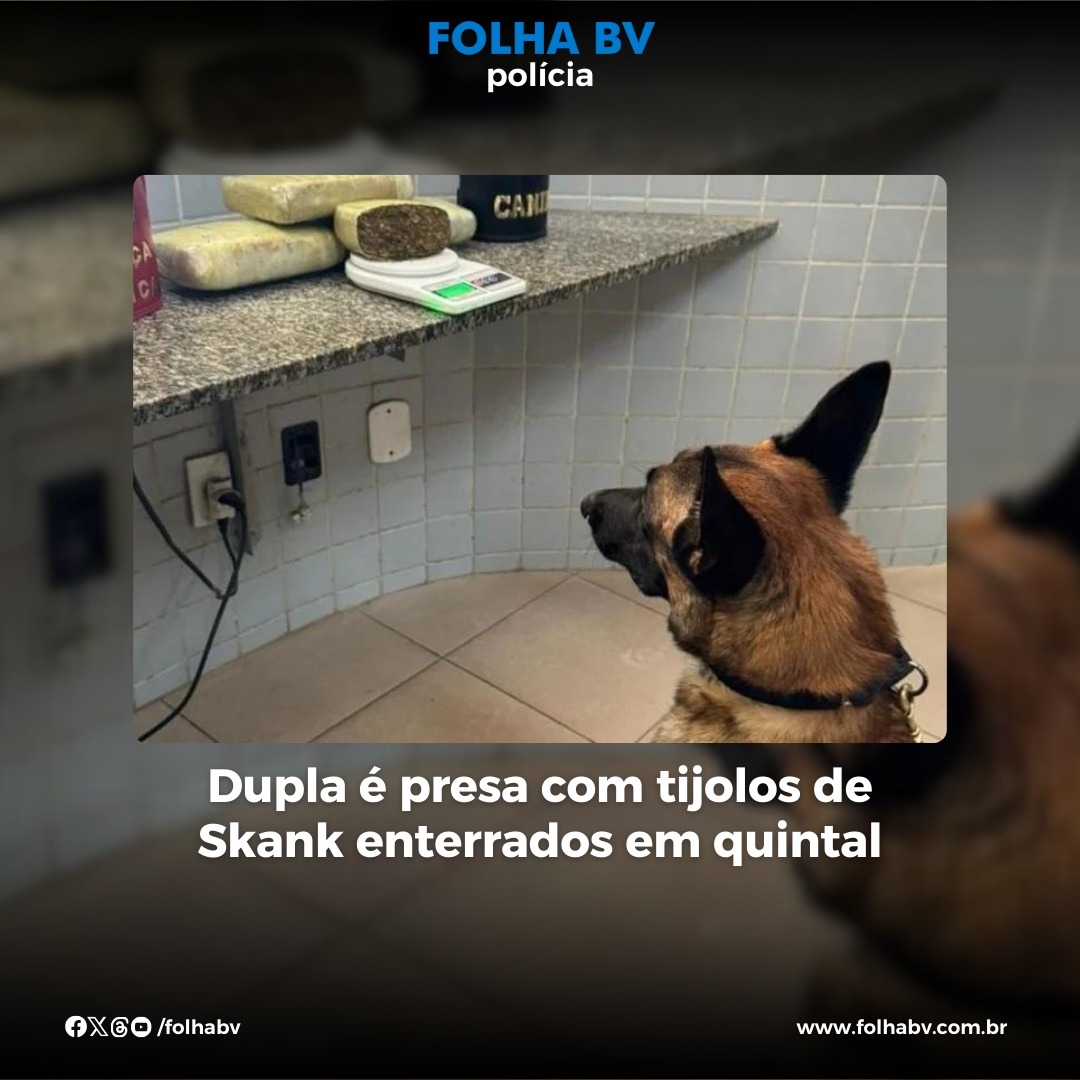 https://www.folhabv.com.br/policia/dupla-e-presa-com-tijolos-de-skank-enterrados-em-quintal/